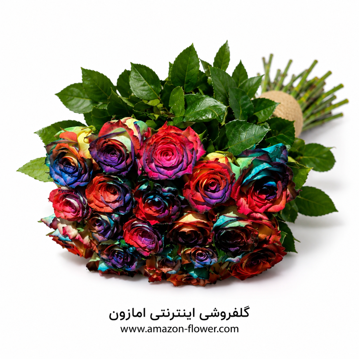 file_000000000a5072438e9cd322a210f479 دسته گل رز هلندی رنگین کمان شماره 303 - تصویر 1